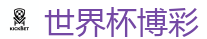 世界杯博彩_2026世界杯官方指定下注平台